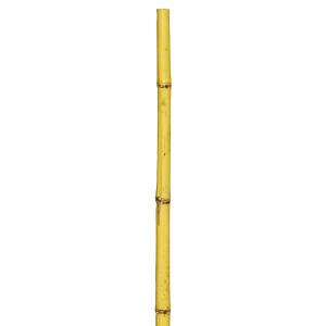 Μπαμπού Βέργες Στήριξης Φυτών 180(h)cm , Ø 12-14mm 